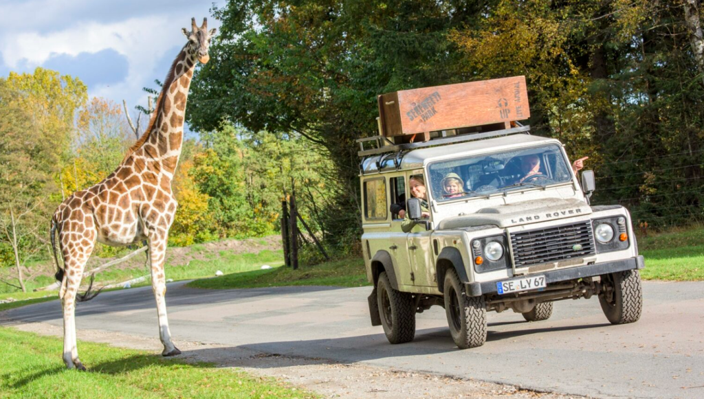 Freizeitparks in Deutschland: 13 beste Themenparks (2025)