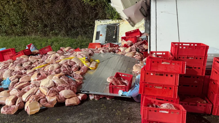 Fleisch-Schock auf der A5 bei Friedberg: Lkw kippt um – 16 Tonnen Schweinefleisch auf der Straße