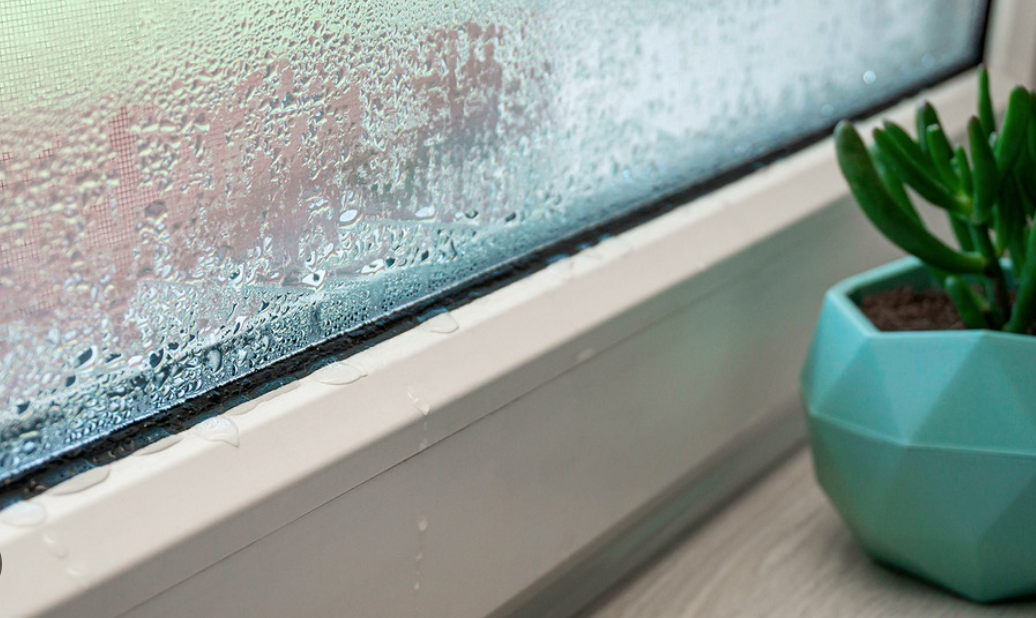 Kondenswasser an Fenstern: warum es entsteht und wie man es loswird