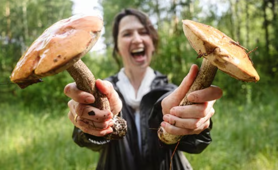 Was bedeutet es, im Traum Pilze zu sammeln: Detaillierte Deutung für Frauen und Männer