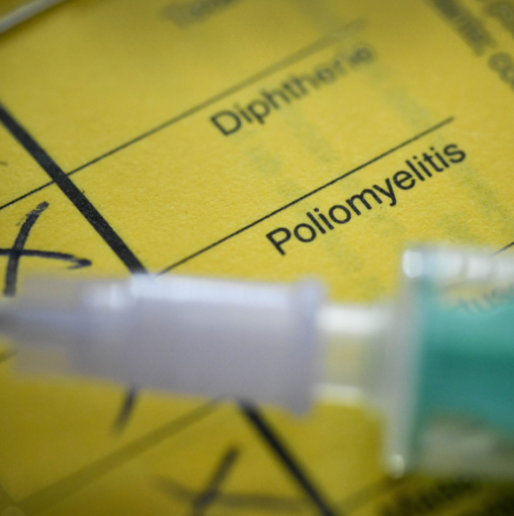 Wildes Poliovirus in deutschem Abwasser entdeckt: RKI stuft Risiko als sehr gering ein