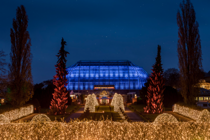 Weihnachtszauber im Botanischen Garten: der Christmas Garden Berlin im Lichterglanz
