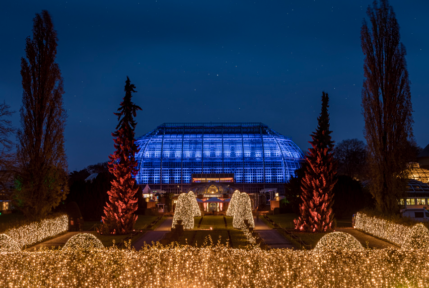 Weihnachtszauber im Botanischen Garten: der Christmas Garden Berlin im Lichterglanz