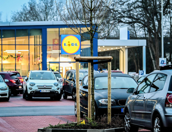 Einkäufe vor dem Neujahr: Öffnungszeiten der Lidl-Filialen im Raum Heilbronn