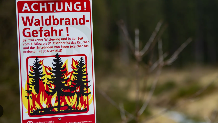 Waldbrandgefahr im Hochsommer: Was jetzt verboten ist