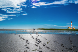 Wattwanderung an der Nordsee: Sicher durchs Weltnaturerbe