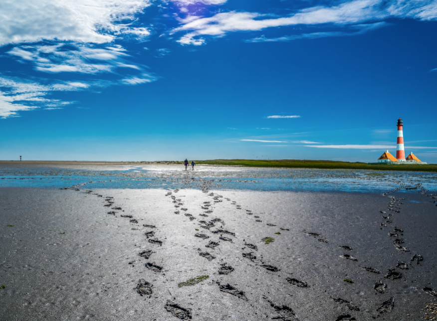 Wattwanderung an der Nordsee: Sicher durchs Weltnaturerbe