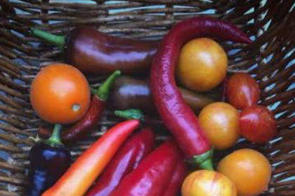 Erntezeit nutzen: So machst du den Sommer haltbar