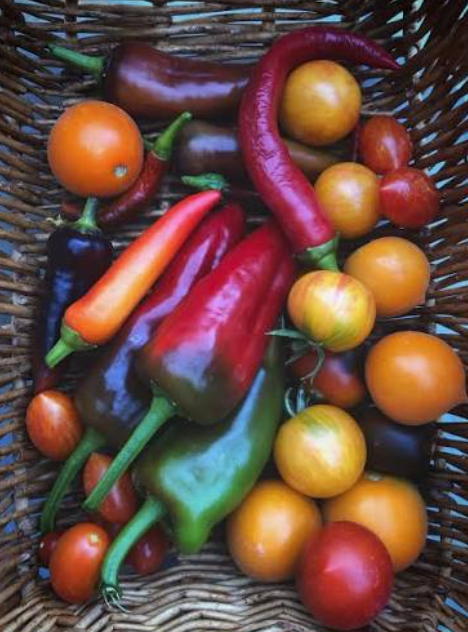 Erntezeit nutzen: So machst du den Sommer haltbar