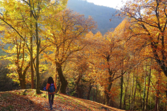 Goldener Herbst zu Fuß: Die schönste Wanderzeit des Jahres