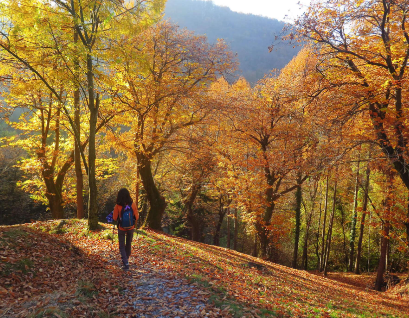 Goldener Herbst zu Fuß: Die schönste Wanderzeit des Jahres