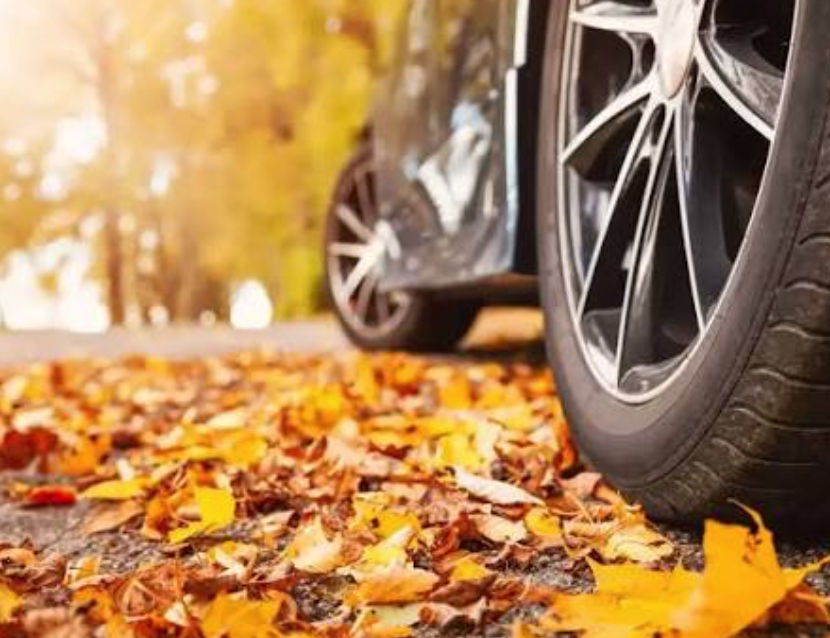 Reifenwechsel im Herbst: Termin, Kosten und Checkliste